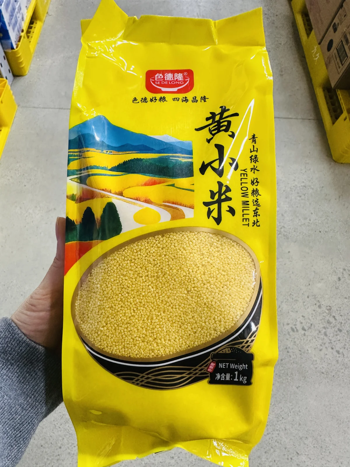 Sedelong Yellow Millet