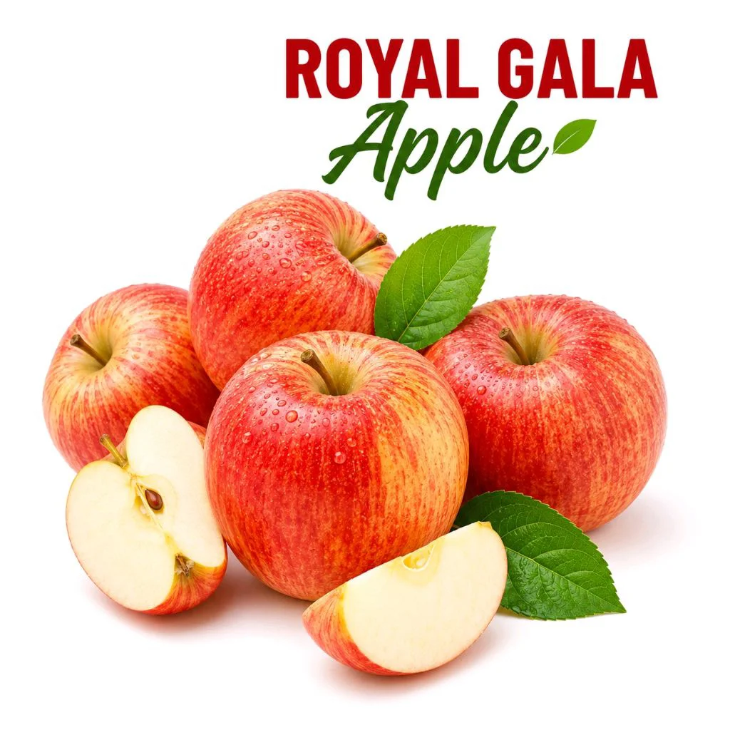 NZ Gala Apples 1kg Bag