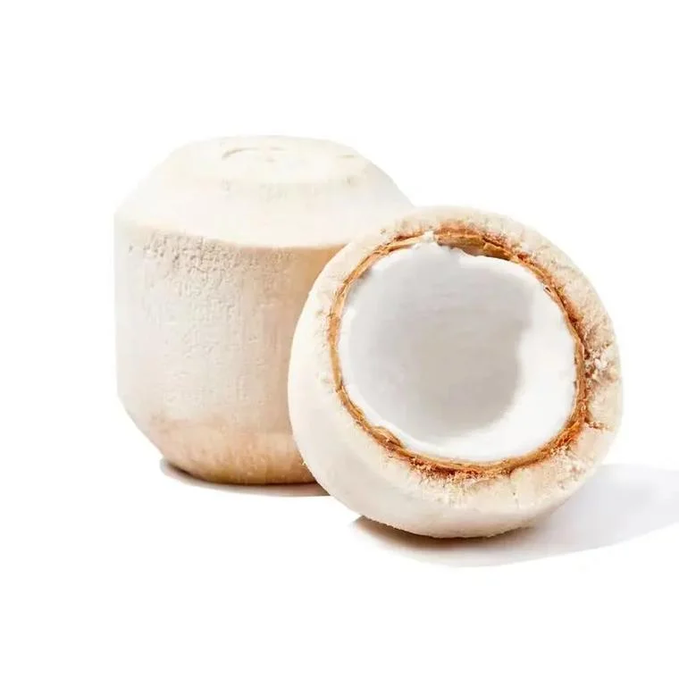 Vietnamese Easy-Open Young Coconut - Fresh Natural Coconut Water