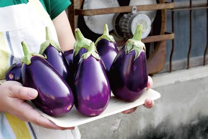 Fresh Round Eggplant