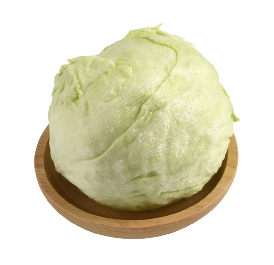 Fresh Iceberg Lettuce Head