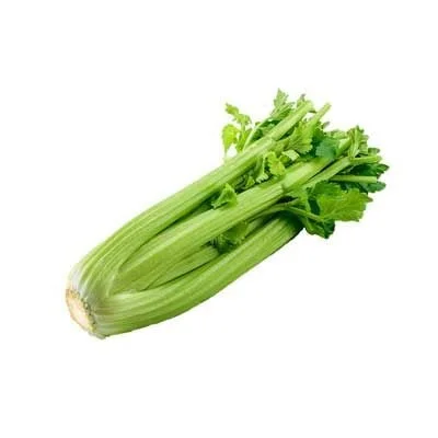 NZ Fresh Celery - Premium New Zealand Celery Stalks