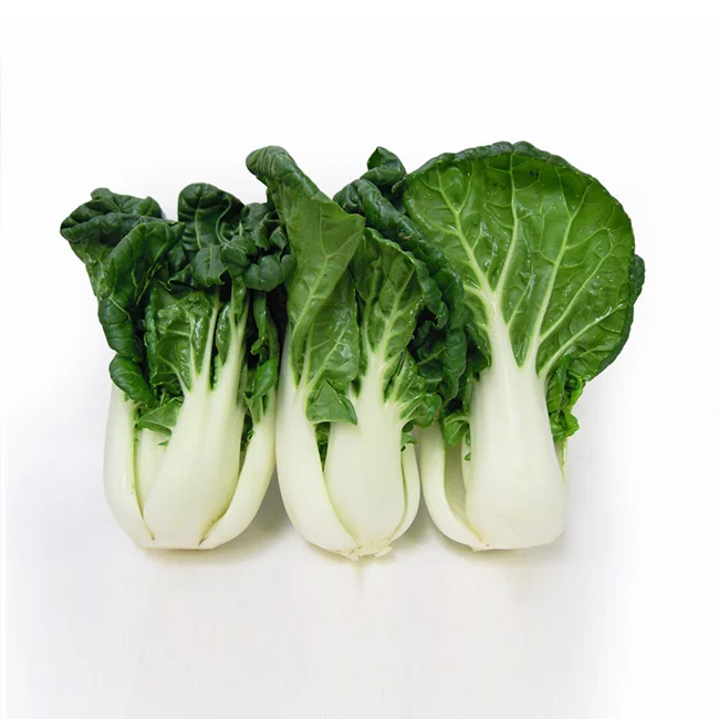 NZ广东白菜/袋