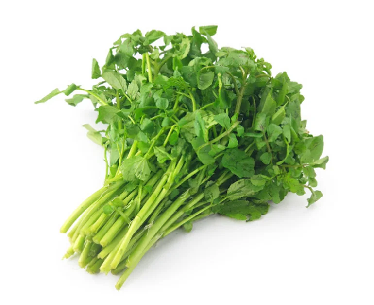 NZ Fresh Watercress