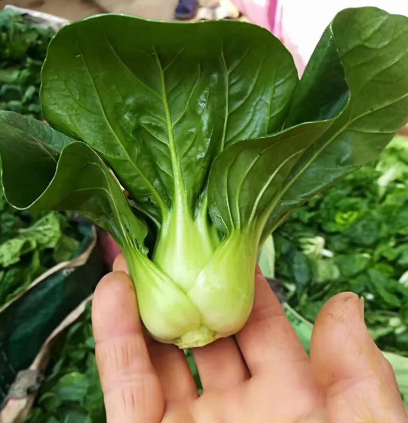 农场矮脚上海青/袋