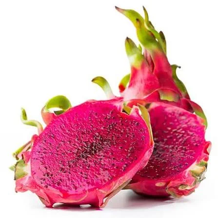 Vietnam Red Dragon Fruit Fresh