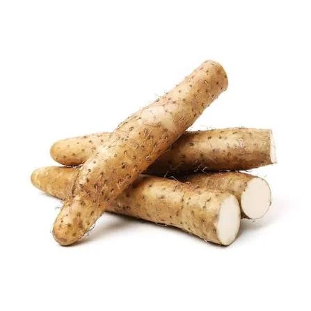 Fresh Chinese Yam Root