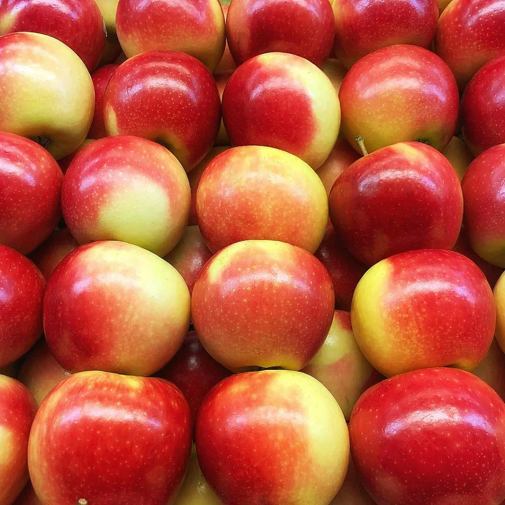 Premium Candy Apple 1.5kg Bag Fresh Fruit