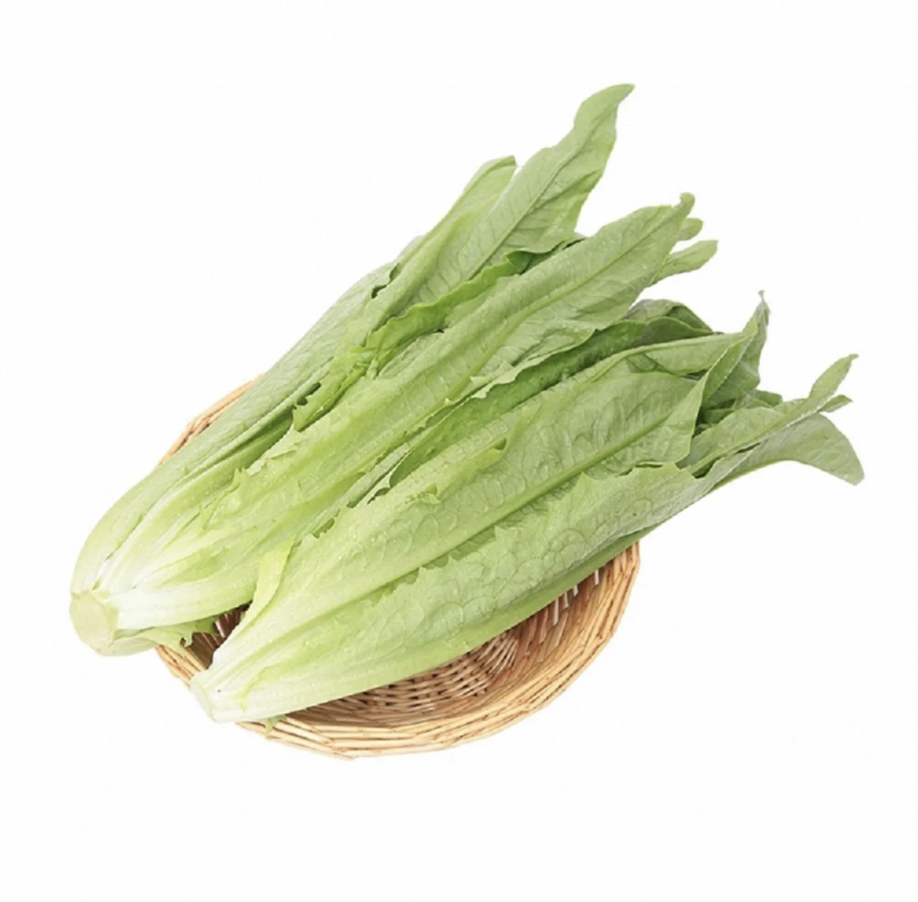 NZ新鲜油麦菜/袋