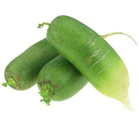 Fresh Green Radish