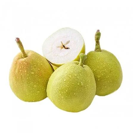Hebei Fragrant Pears - Fresh Seasonal Fruit