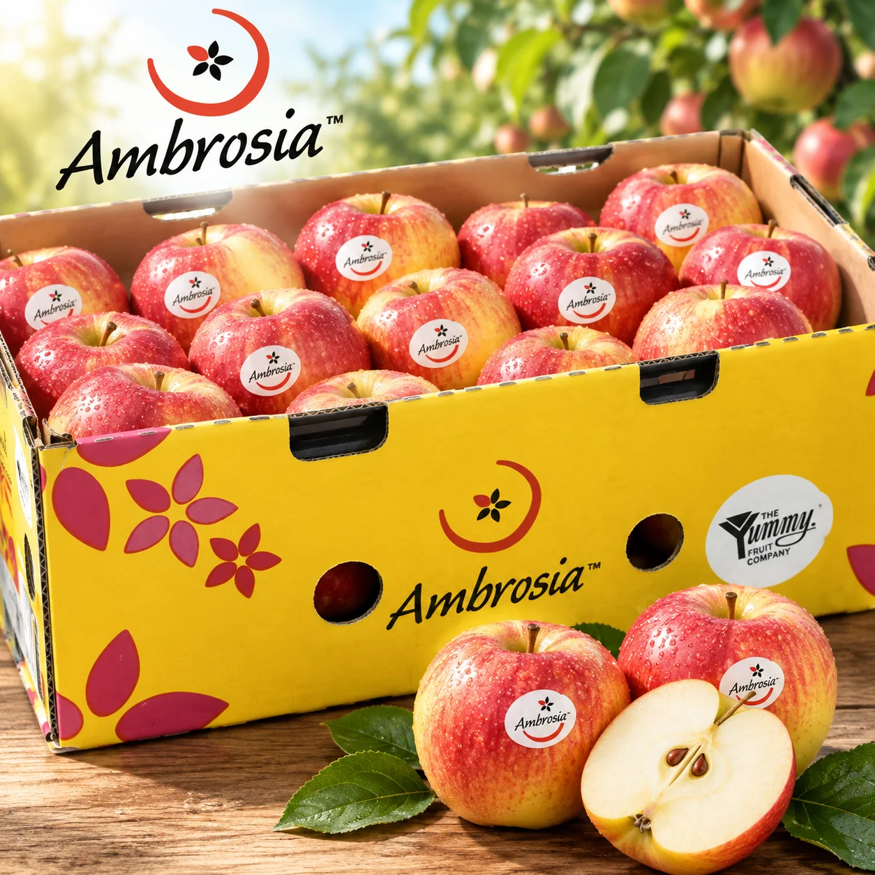 NZ Ambrosia apple/box
