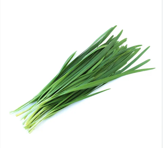 NZ新鲜韭菜/袋