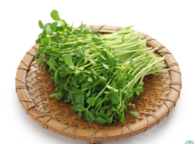 新鲜豌豆苗/盒
