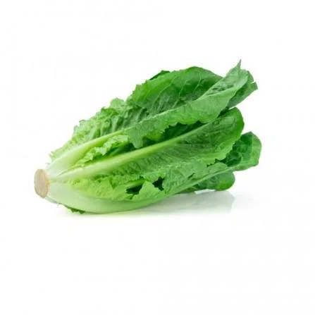 Fresh Tang Ren Lettuce - Premium Bagged Greens for Salads
