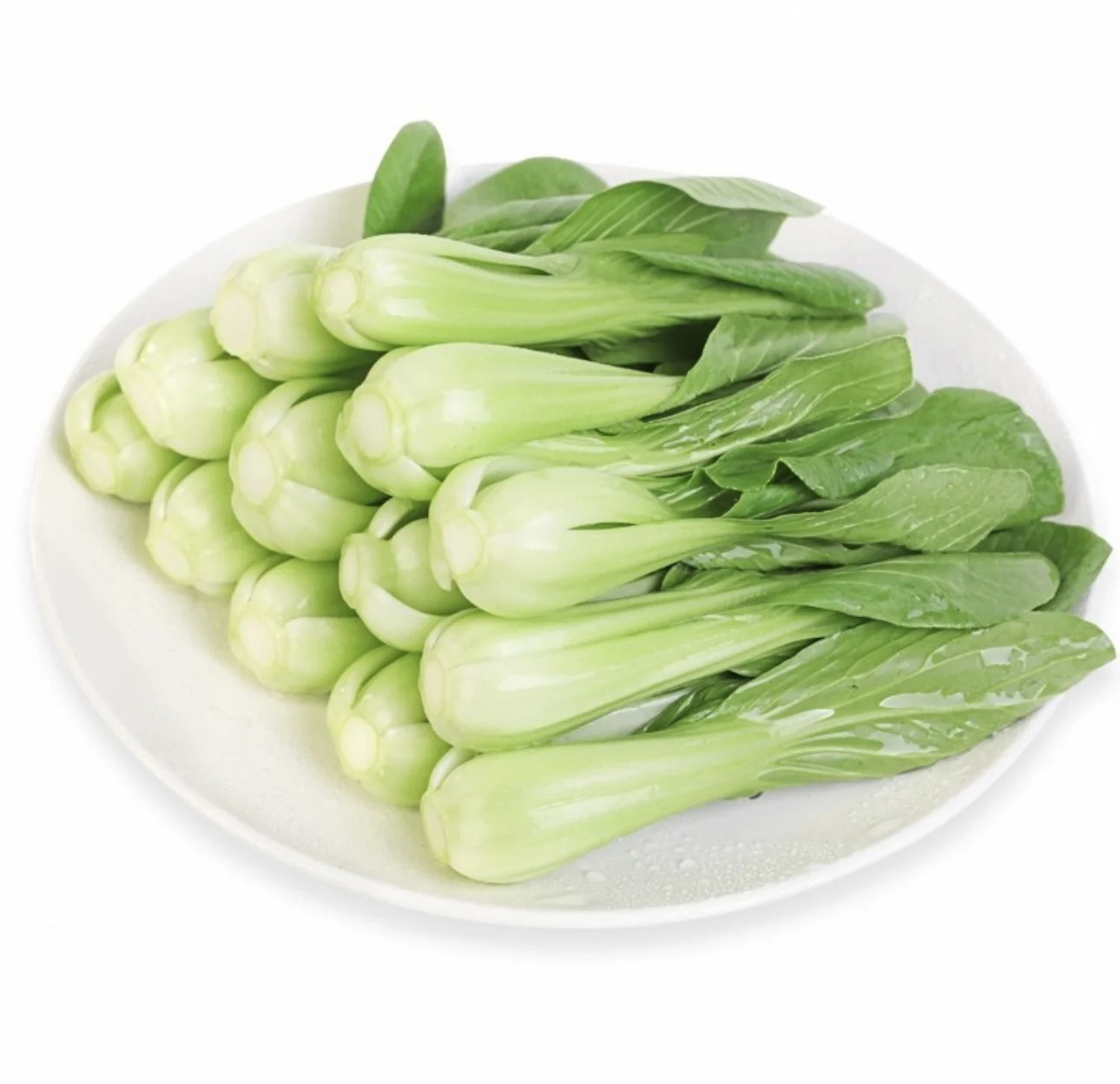 NZ Fresh Bok Choy Bag